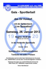 flyer-sportlerball2013_240