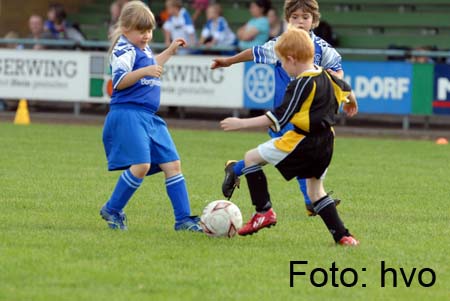 090731-G-Junioren-HSVI-Falke SteinfeldIII_0184