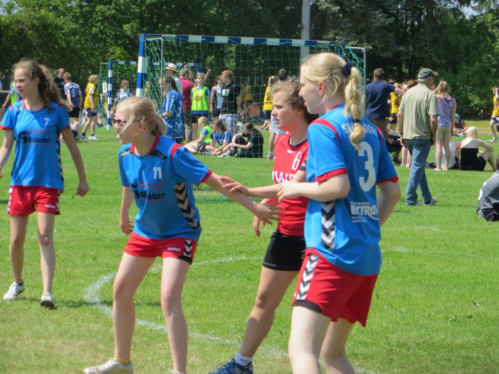 20130608_B_Handball_Bohmte_3_1024.jpg