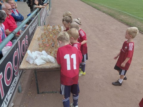 Sport Böckmann Cup 2026